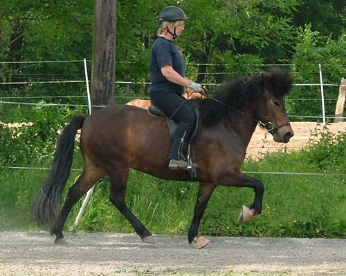 DIMMALIM VOM GLOCKENHOF