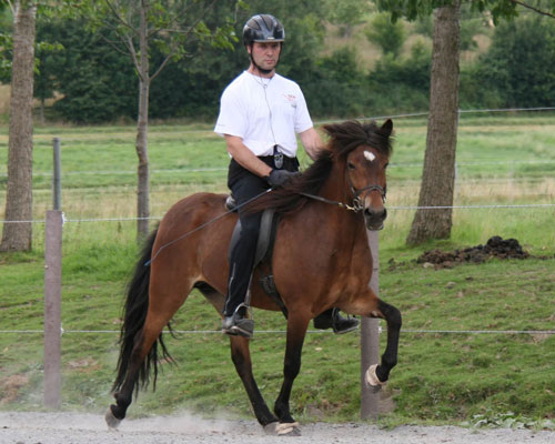 DRIFT VOM GLOCKENHOF