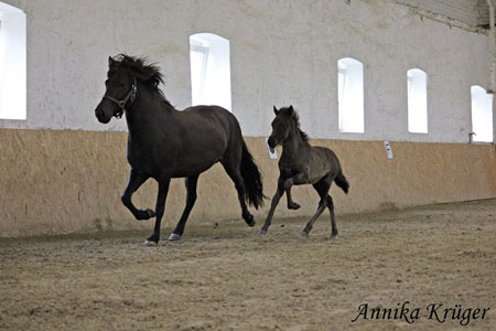 FRÖDUR VOM GLOCKENHOF