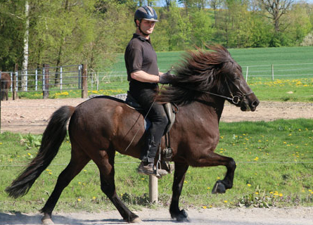 Veranstaltungen 2019 Online!