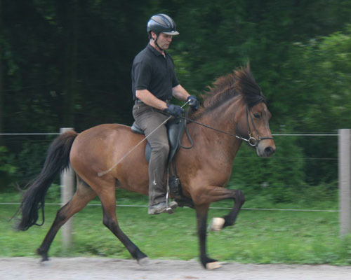 TIBRA VOM GLOCKENHOF
